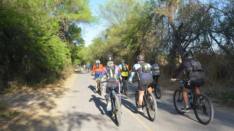 La ruta